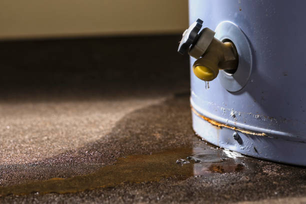 Carpet water damage restoration in New Brighton, PA