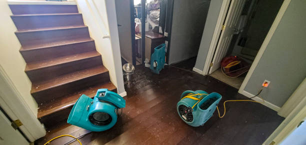 Best Water damage restoration experts  in New Brighton, PA