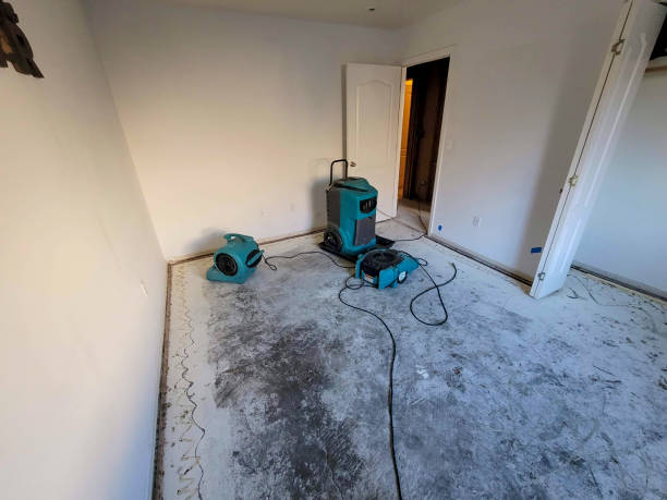  New Brighton, PA Water damage restoration Pros