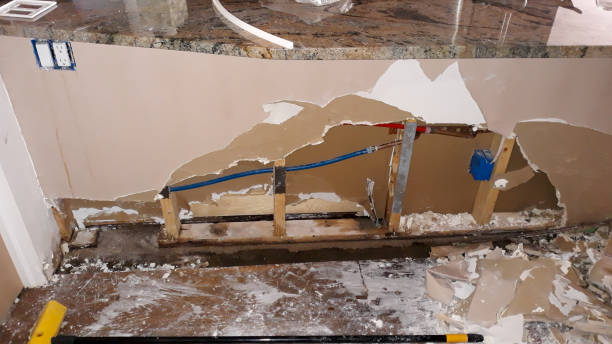 Best Water damage cleanup near me  in New Brighton, PA