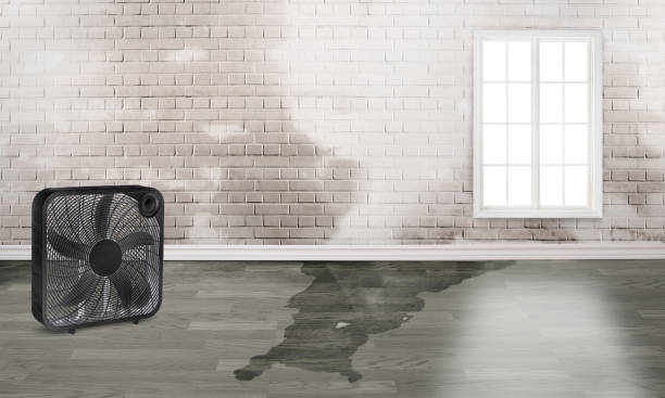 Water damage restoration experts in New Brighton, PA