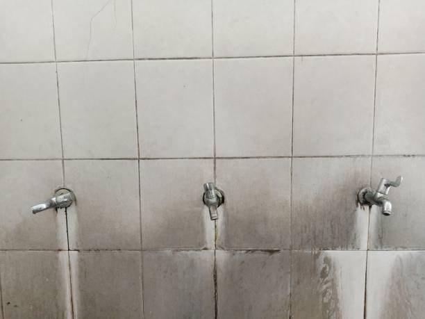 Best 24-hour water damage restoration  in New Brighton, PA