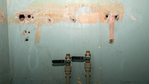 Best Fire Damage Restoration  in New Brighton, PA