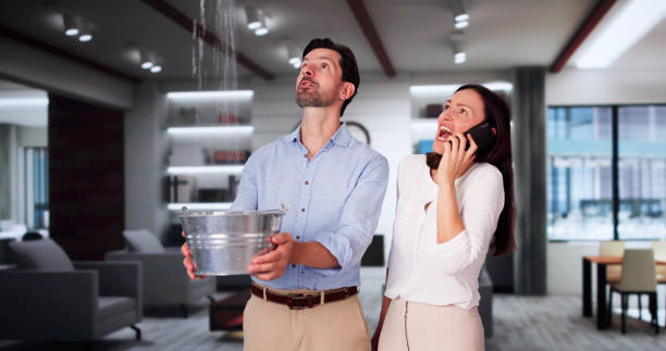 Best Water damage restoration experts  in New Brighton, PA
