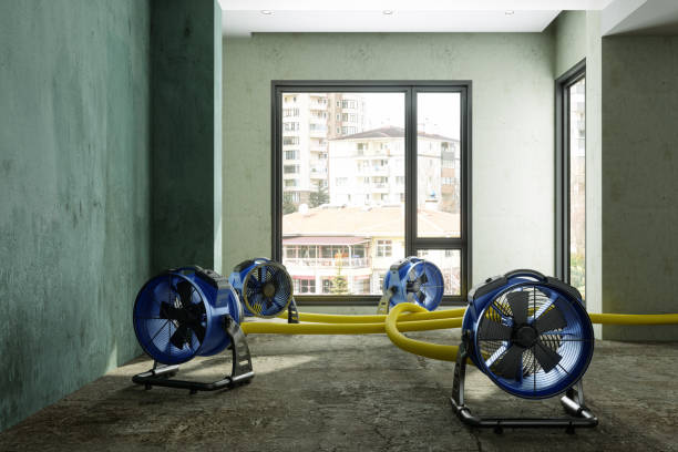 Best Local water damage restoration  in New Brighton, PA