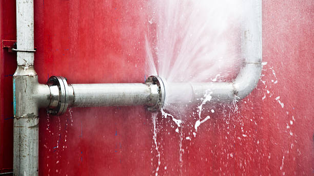 Best Flood damage cleanup  in New Brighton, PA